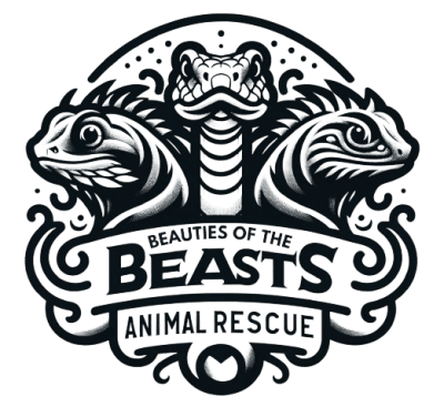 contact reptile rescue - Beauties of the Beasts logo