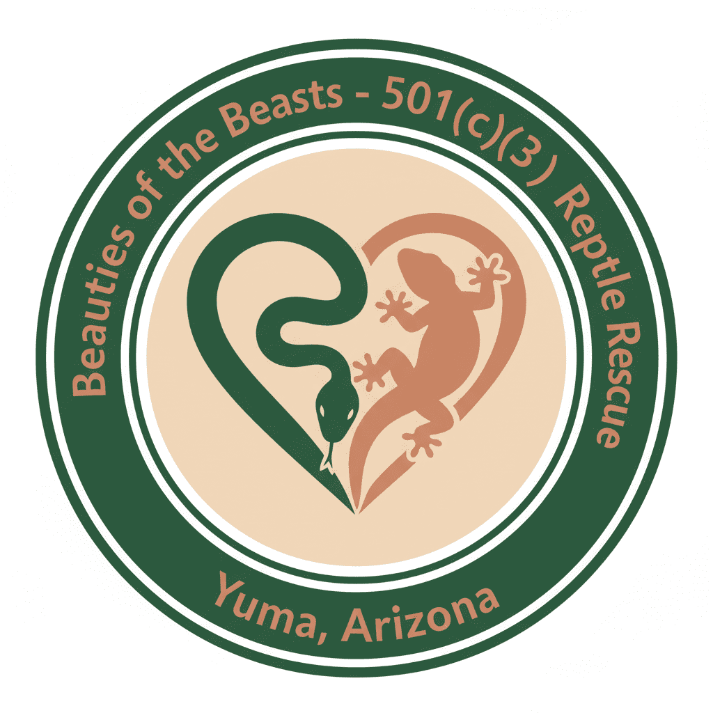 Reptile Rescue Programs